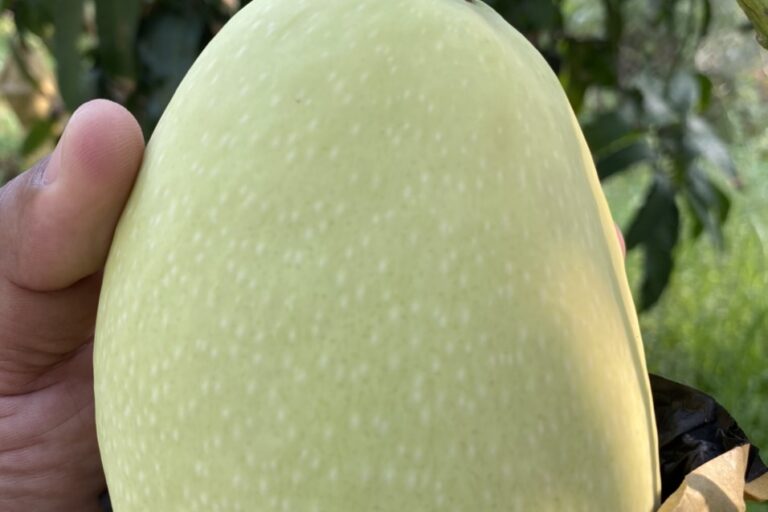 z2287983098062_1fe28b89def621252ec699bcdcf16b57