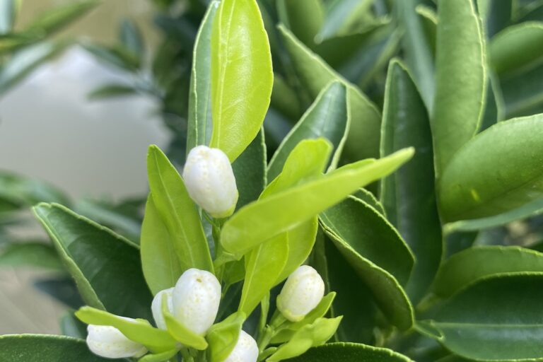 z3447083961549_f2151e836bb8ad9f4211bd1a72d3a645