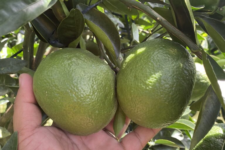 z3447084660066_7847d47bc7826a37f0ce93c147f98e4e