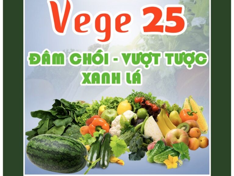 Vege 25