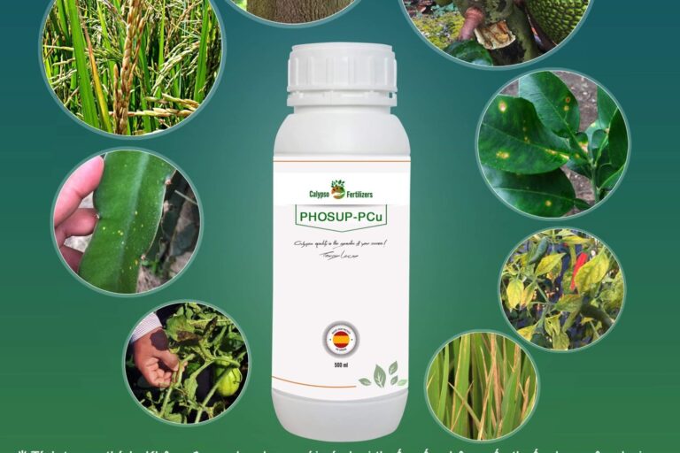 z2660433657177_fa80aecc87aaff05135559ab4efe843e